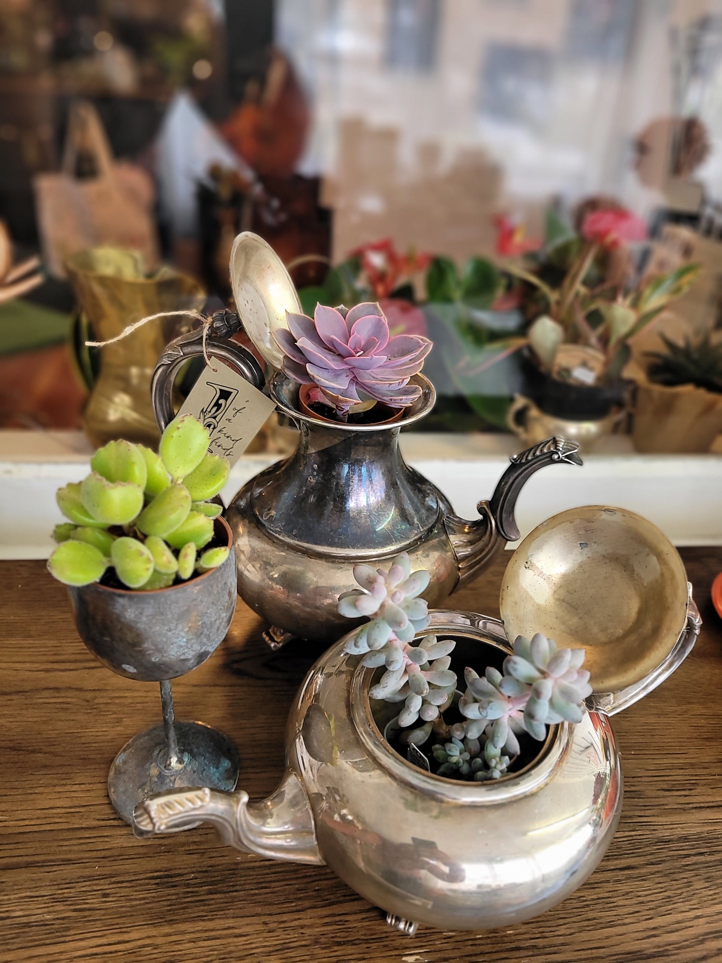 Silver Plate Tea Pot with Plant