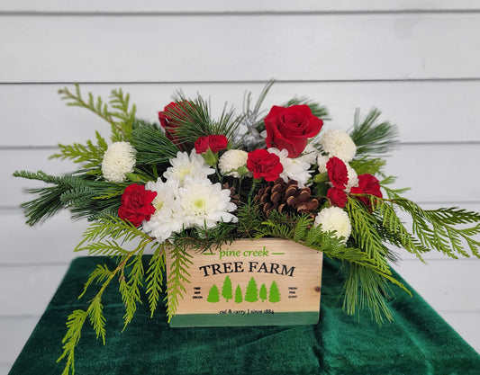 A Beautiful Christmas Box