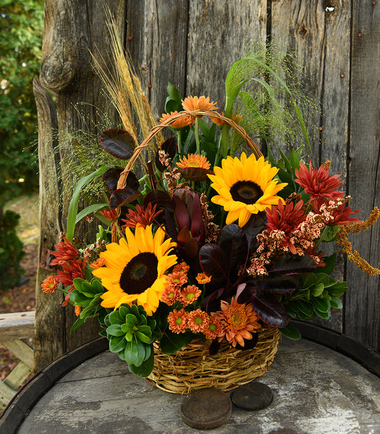 Premium Sunflower Garden Basket